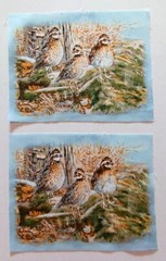 Cotton Fabric Quails on Floor of Woods – 2 Pieces – Pic E = 5″L x 6 1/2″W