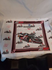 Nascar Sewing Pillow Panel #3 Goodwrench Childress Racing RCR