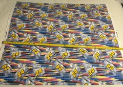 Vintage Jeff Gordon #24 NASCAR 2004 Cotton Fabric Springs Industries 45×37 In