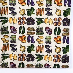 Cranston Cotton Quilting Fabric BTHY Half Yard Garden Vegetables Multicolor