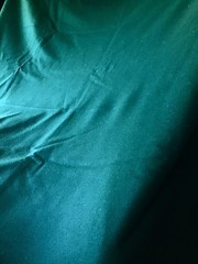 2 Yards Dark Green Superfine Wool Broadcloth 60 Inches Wide