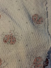 2 1/4 Yd Ladybug One-way Stretch Knit Fabric 60″ Wide