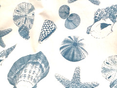 Blue Shell Fabric Nautical Cotton 54” W 4 Yard Lot