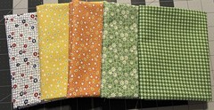 Aunt Grace Goes Scrappy By Judie Rothermel For Marcus Bundle Of 13 Fat Quarters