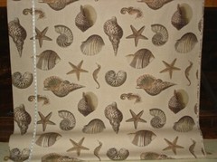 Brown seashell seahorse tan nautilus sea shell home decorating material BTY