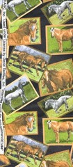 David Textiles Flannel Fabric Horse Horses Framed 44″ x 44 ” ***1+ yards