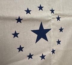 Bonnie Blues America Cotton Fabric 19″ x 44″ Paula K Marcus Fabrics Eagle Star