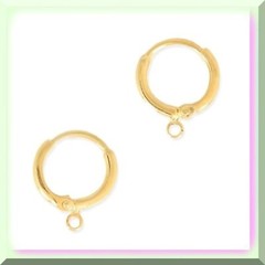 GoldieGuard Hypoallergenic Dangle Earring Hooks, 20 Pieces