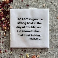 Carlson Homestead – Precut Bible Verse 5″ Quilt Square Set – 26 Piece – White