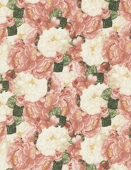 Timeless Treasures April in Paris C3563 Pink Packed Peonies Cotton Fab