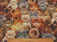 Cat Fabric By Half-Yard Packed Realistic Kitty Kitten Faces TT Premium Cotton