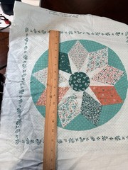 Vintage Sewing Panel Dresden Star Cheater Quilt Pillow 14”