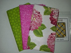 Lot 3 yd quilt kit w/pattern Fabric Cafe focus light dark QSQ free ship HTF