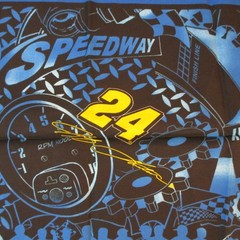Jeff Gordon #24 Nascar Fabric Pillow Panel Springs Ind. Each panel is 17×17