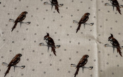 Brown Parrots on Beige Fabric 9 IN X 36 IN