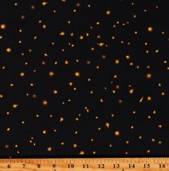 Cotton Fireflies at Night Firefly Fantastic Forest Fabric Print by Yard D695.60