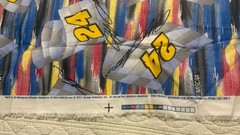 Vintage Jeff Gordon #24 NASCAR 2004 Cotton Fabric Springs Industries 45×37 In