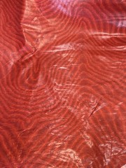 Coles of Mortimer Midford Moire Fabric 4 yd remnant by Richard Godwin Red Chintz