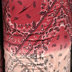 Double Brushed Jersey Knit Fabric, Paisley Bandana Print (4 Styles) – By the Yar