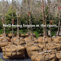 Versatile 40″ x 15 Feet Burlap Roll – Durable Jute Fabric for Events and Crafts