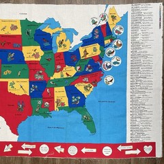 Vintage Map of United States Cotton Fabric Panel USA State Birds Flowers