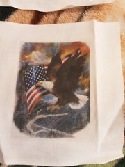 4 Eagle Squares 7 L X 7 W Multicolor