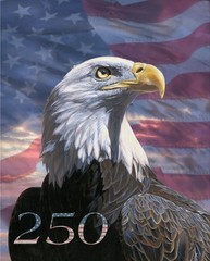 USA Eagle 250th Anniversary ~ 36″~ American, Quilt of Valor Fabric Panel