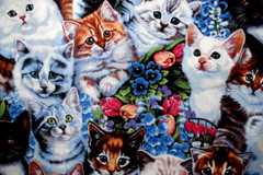 David Textiles Kittens and Flowers cats floral By the 1/4 yard cotton fabric