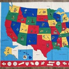Vintage Map of United States Cotton Fabric Panel USA State Birds Flowers