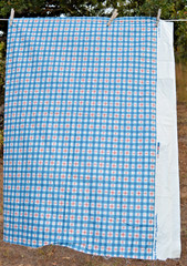 7/8ths yard blue tattersall check 48″ wide plus small tail