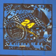Jeff Gordon #24 Nascar Fabric Pillow Panel Springs Ind. Each panel is 17×17