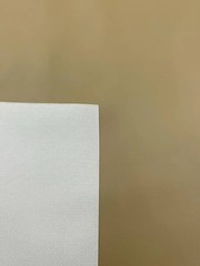 Camel UV Protected Marine Vinyl Waterproof Outdoor Upholstery Automotive Fabric