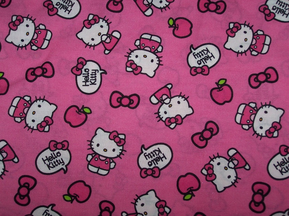 9″x 21″ Hello kitty on Pink fabric scrap