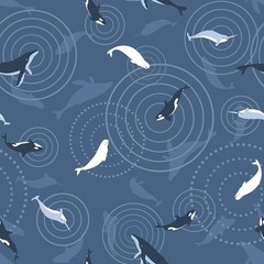 Animal Fabric | Polar Plungers Narwhal Whale Toss Blue | Studio E YARD