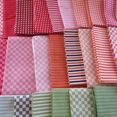 Stripes & Checks Theme Fat Quarters by Riley Blake Fabric $3.99 Ships Any Amount