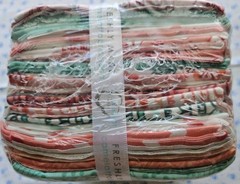 Camelot Fabrics Freshly Made BORN WILD Safari Baby Nursery FQ 20pc Bundle Rare