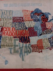 USA Cotton Map 23.5″ X 44″ Panel United States of America Fabric Panel Windham