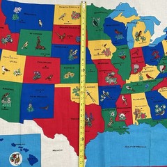 Vintage Map of United States Cotton Fabric Panel USA State Birds Flowers