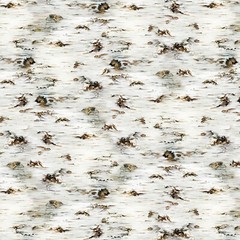 Birch Birch Tree Texture Timeless Treasures Spring Song by Dona Gelsing