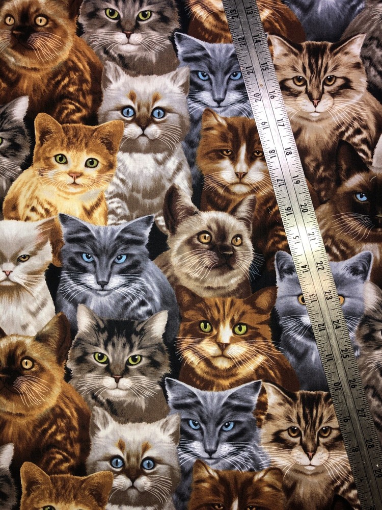 Cats All over Timeless Treasures Cotton Fabric 1/2 Yard (18 By 44”) New