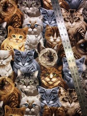Cats All over Timeless Treasures Cotton Fabric 1/2 Yard (18 By 44”) New