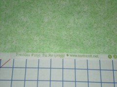 Northcott Freckles Lime Green Blender #2130 by Ro Gregg Lime 45″ Long x 43″ Wide