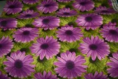 Bryant Industries Indoor/Outdoor “Daisy” Print Fabric bryantguard 4 yd 44″ wide