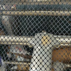 Big Hole Fishnet Mesh Fabric | (4 Way Stretch/Per Yard)