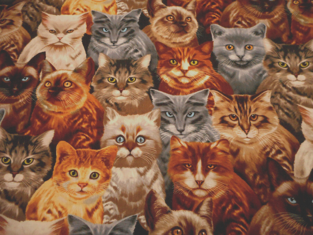 Cat Fabric By Half-Yard Packed Realistic Kitty Kitten Faces TT Premium Cotton