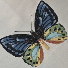 Square by Design BUTTERFLY 25″ Woven Fabric Panel Embroidered Craft New