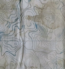 Nautical Topographic Map “Sail Away” by Northcott Cotton Shirting/Quilting!