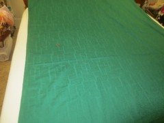 2328. GREEN TEXTURED Cotton or Blend DRAPERY UPHOLSTERY FABRIC – 46″ W – BTY