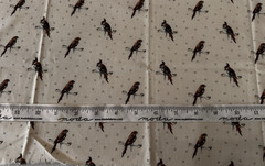 Brown Parrots on Beige Fabric 9 IN X 36 IN