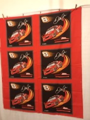 Dale JR. Race Car Pillow Panels 1 1/2 Yards